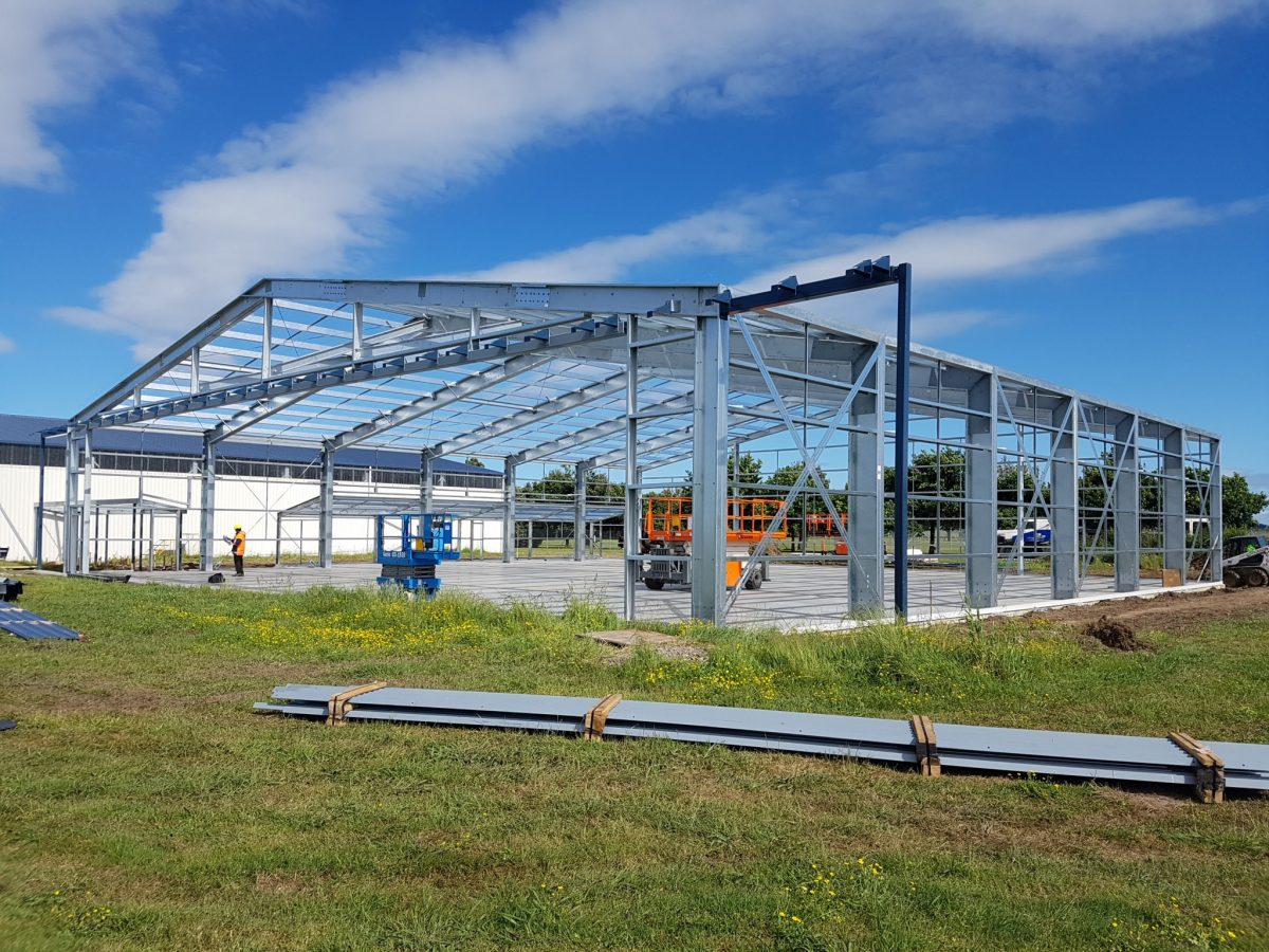 تركيب هناجر الرياض هناجر شينكو ملاحق هناجر شينكو اسقف تركيب هناجر شينكو تركيب هناجر ساندويش بانل بالرياض هناجر حديد تركيب هناجر شينكو تركيب هناجر مخطط تصميم هناجر هناجر حديد هناجر ومستودعات مقاول هناجر مقاول هناجر الرياض شركة هناجر هناجر ومستودعات هناجر حديد هناجر شينكو
