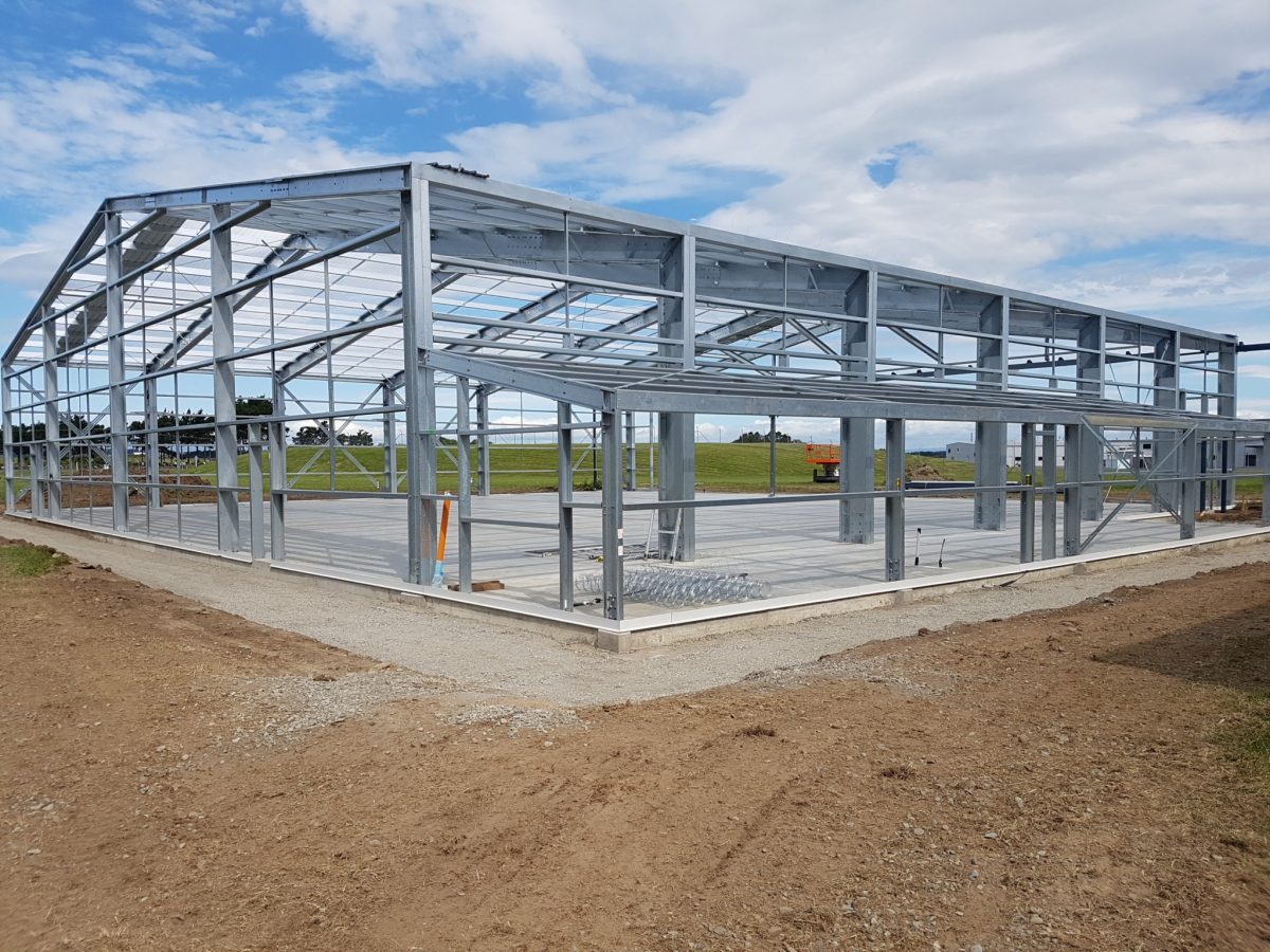 تركيب هناجر الرياض هناجر شينكو ملاحق هناجر شينكو اسقف تركيب هناجر شينكو تركيب هناجر ساندويش بانل بالرياض تركيب هناجر حديد تركيب هناجر مستودعات تركيب هناجر اسواق تجارية تركيب هناجر شينكو بالرياض هناجر ورش. تركيب هناجر دورين تركيب هناجر الرياض مخطط تصميم هناجر هناجر حديد هناجر ومستودعات مقاول هناجر تصميم هناجر هناجر شركات. هناجر حديد هناجر. هناجر ملاحق. هناجر جاهزة. هناجر ايجار. هناجر مشاريع. هناجر مصانع. هناجر دواجن تصميم هناجر أنواع الهناجر هناجر حدىد هناجر ومستودعات بناء هناجر مقاول هناجر تركيب هناجر بالرياض هنجر حديد